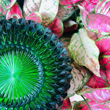 將圖片載入圖庫檢視器 Large Circle Clutch