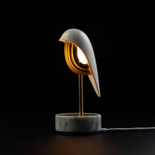 將圖片載入圖庫檢視器 Chirp