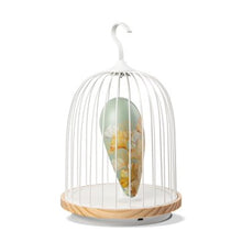 將圖片載入圖庫檢視器 Golden Ginko