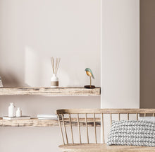 將圖片載入圖庫檢視器 Bird