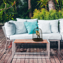 將圖片載入圖庫檢視器 The Phoenix