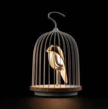 將圖片載入圖庫檢視器 The Phoenix